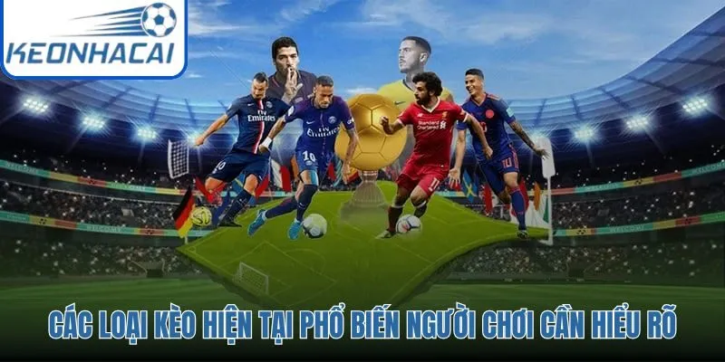 Mẹo Cược nền tảng với kèo Châu Á, tài xỉu và 1x2 cho người mới