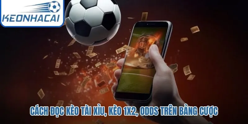Tổng bàn 1X2 và odds thập phân trên bảng cược