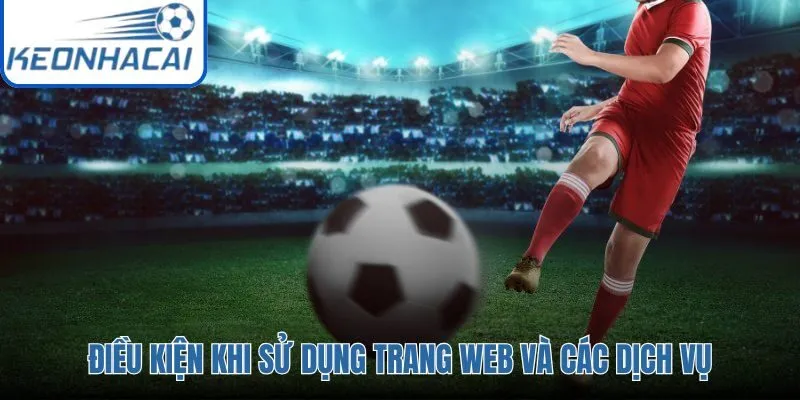 Điều khoản sử dụng cơ bản để bảo vệ quyền truy cập nền tảng