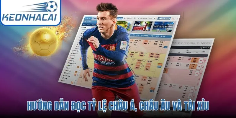 Cẩm nang giải mã các loại tỷ lệ kèo cơ bản dành cho người mới