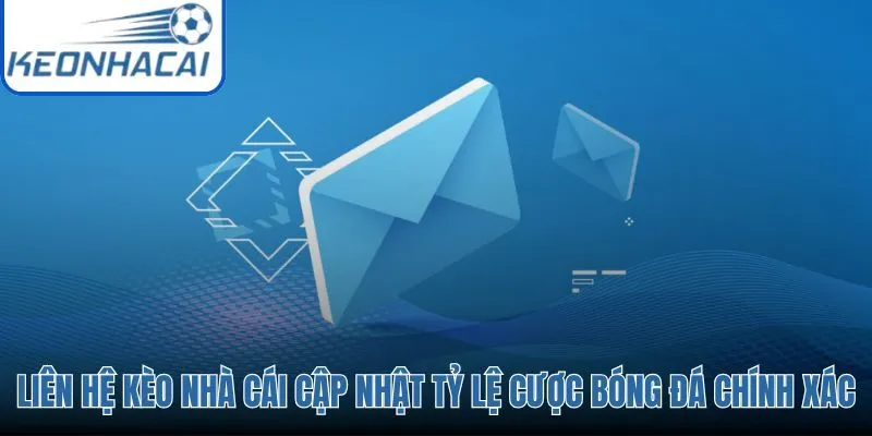 Liên hệ đúng kênh để nhận tỷ lệ cược bóng đá nhanh và chính xác