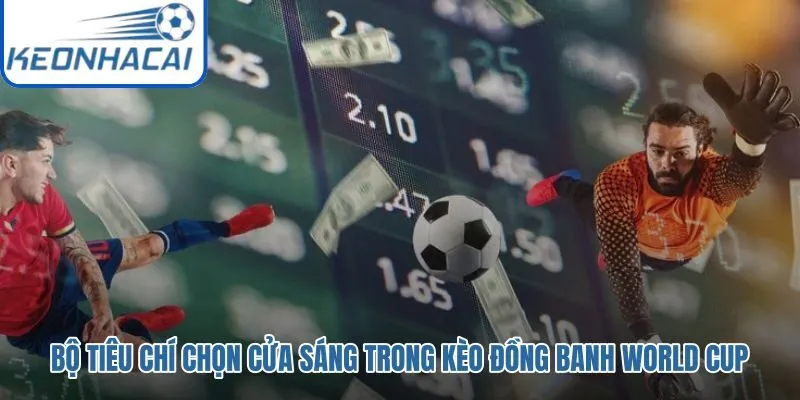 Dữ liệu phong độ lực lượng chiến thuật trước quyết định cửa sáng