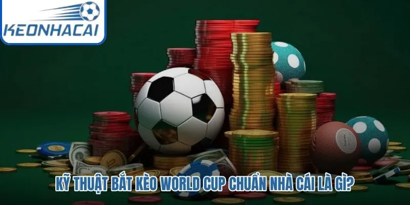 Phương pháp đọc odds và nhận diện cửa sáng có cơ sở